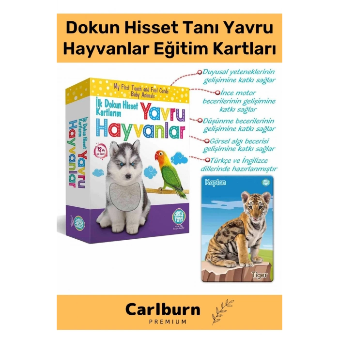 Özel Üretim Görsel Algı Eğlenceli Öğrenme Gelişim Dokun Hisset Tanı Yavru Hayvanlar Eğitim Kartları