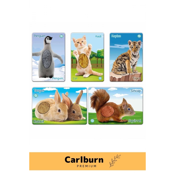 Özel Üretim Görsel Algı Eğlenceli Öğrenme Gelişim Dokun Hisset Tanı Yavru Hayvanlar Eğitim Kartları