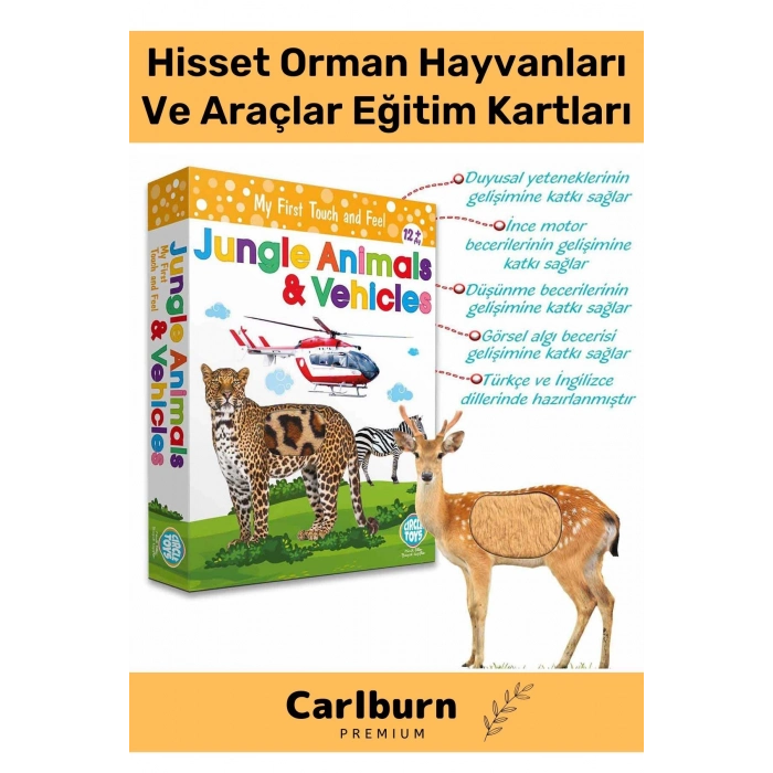 Özel Üretim Görsel Algı Eğlenceli Öğrenme Hisset Orman Hayvanları Ve Araçlar Eğitim Kartları
