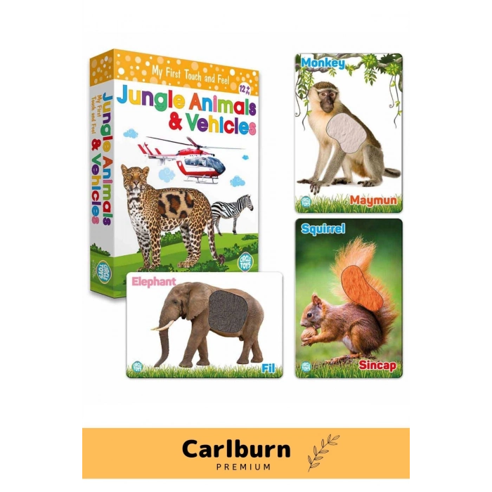 Özel Üretim Görsel Algı Eğlenceli Öğrenme Hisset Orman Hayvanları Ve Araçlar Eğitim Kartları