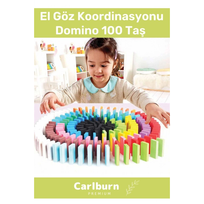 Özel Üretim Zeka Geliştirici Eğitici El Göz Koordinasyonu  Domino 100 Taş