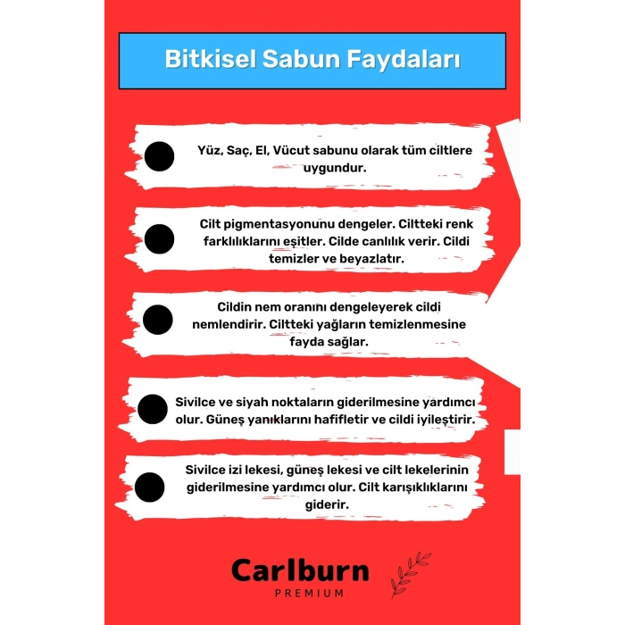 Lüks %100 Doğal Güzel Kokulu El Yüz Saç Vücut Cilt Orijinal Bitkisel Salyangoz Sabunu 120G - 2 Adet