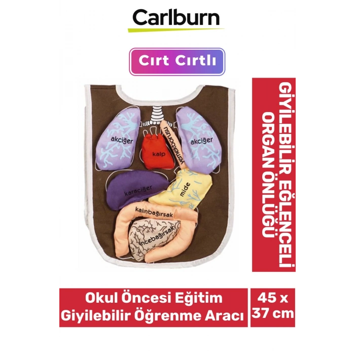 Cırt Yapışkanlı Zeka Geliştirici Okul Öncesi Eğitim Giyilebilir Öğrenme Aracı Eğlenceli Organ Önlüğü