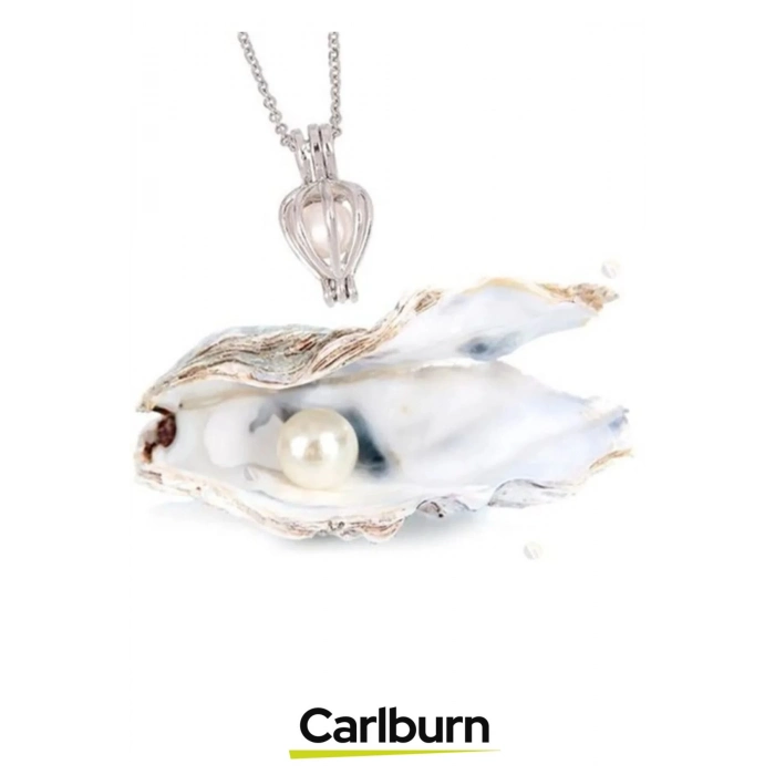 Özel Üretim Doğum Günü Sevgiliye Hediye Kutulu Şık İstiridye İçinde Gerçek İnci Kolye Aksesuar Seti