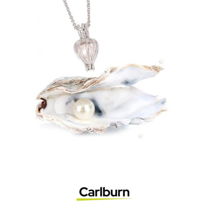 Özel Gün Hediye Sevgiliye Anneye Arkadaşa Kırmızı Gül Dolu Çekmeceli Kutu İstiridye İnci Kolye Seti