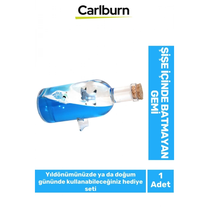 Özel Tasarım Aşk Batmayan Gemi Yıl Dönümü Kız Arkadaş Doğum Günü Hediye Sevgiliye Akvaryum 17*6 Cm