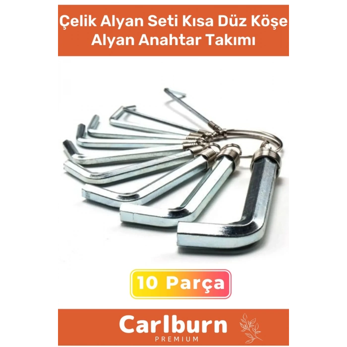 Özel Üretim Tamir Usta Çırak Bozuk Vida 10 Parça Çelik Alyan Seti Kısa Düz Köşe Alyan Anahtar Takımı