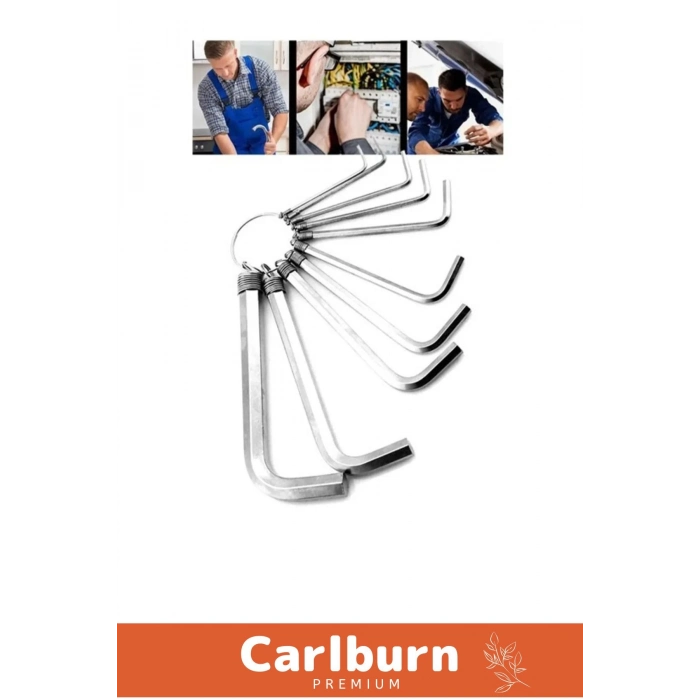 Özel Üretim Tamir Usta Çırak Bozuk Vida 10 Parça Çelik Alyan Seti Kısa Düz Köşe Alyan Anahtar Takımı