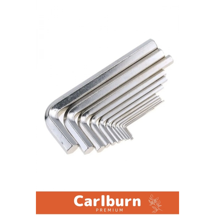 Özel Üretim Tamir Usta Çırak Bozuk Vida 10 Parça Çelik Alyan Seti Kısa Düz Köşe Alyan Anahtar Takımı