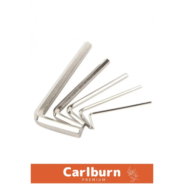 Özel Üretim Tamir Usta Çırak Bozuk Vida 10 Parça Çelik Alyan Seti Kısa Düz Köşe Alyan Anahtar Takımı