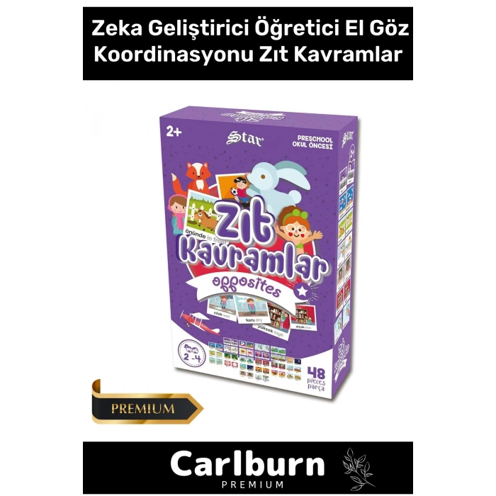 Özel Eğitici Zeka Geliştirici Öğretici El Göz Koordinasyonu Anne Çocuk 48 Parça Zıt Kavramlar