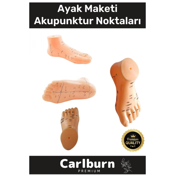 Özel Üretim Kaliteli İnsan Anatomisine Uyumlu Muayene Maket 20Cm Ayak Maketi Akupunktur Noktası