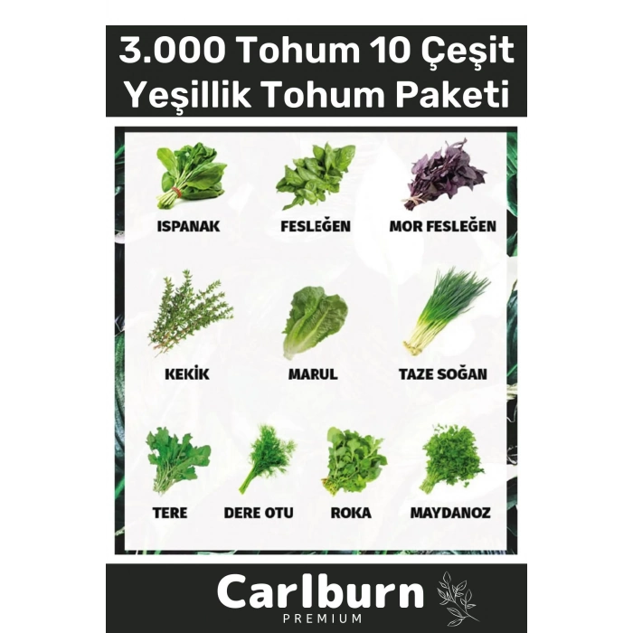 12 Ay Ekim Yapılabilen 3.000 Tohum Ayrı Ayrı Paketli 10 Çeşit Yeşillik Sürdürülebilir Tohum Paketi