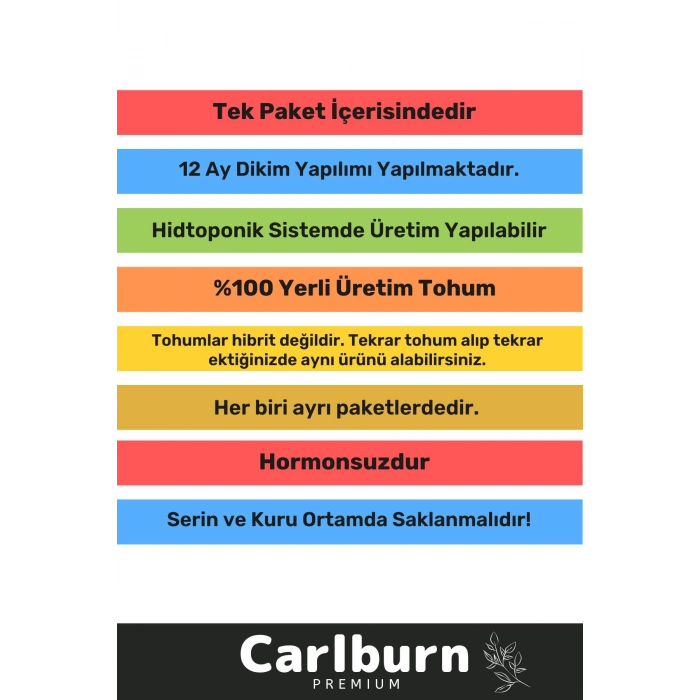 12 Ay Ekim Yapılabilen 3.000 Tohum Ayrı Ayrı Paketli 10 Çeşit Yeşillik Sürdürülebilir Tohum Paketi