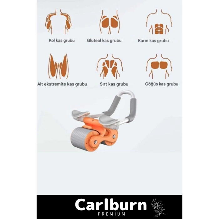 Premium Kaymaz Önleyici Geri Dönme Akıllı Fren Sessiz Çalışan AB Roller Karın Kası Egzersiz Tekerlek