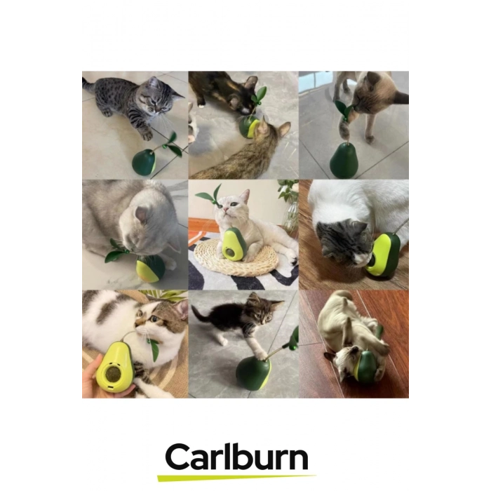 Özel Üretim Döner Mekanizmalı Avokado Şeklinde Kedi Naneli Mama Hazneli Kedi Oyuncağı