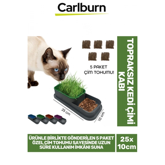 Özel Üretim 5 Adet Kedi Çimi Tohumu Topraksız Kedi Çimi Kabı 25x10cm