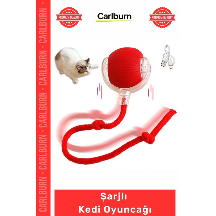 Özel Üretim İnteraktif Titreşimli Hareketli İpli Dayanıklı Avcı İçgüdüsü Şarjlı Kedi Oyuncağı