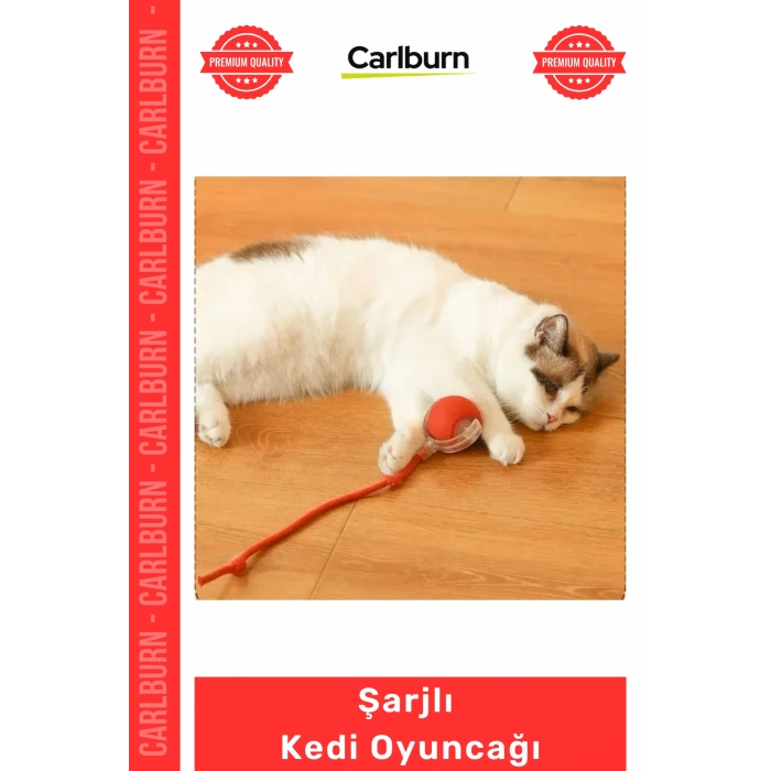 Özel Üretim İnteraktif Titreşimli Hareketli İpli Dayanıklı Avcı İçgüdüsü Şarjlı Kedi Oyuncağı