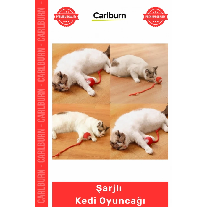 Özel Üretim İnteraktif Titreşimli Hareketli İpli Dayanıklı Avcı İçgüdüsü Şarjlı Kedi Oyuncağı