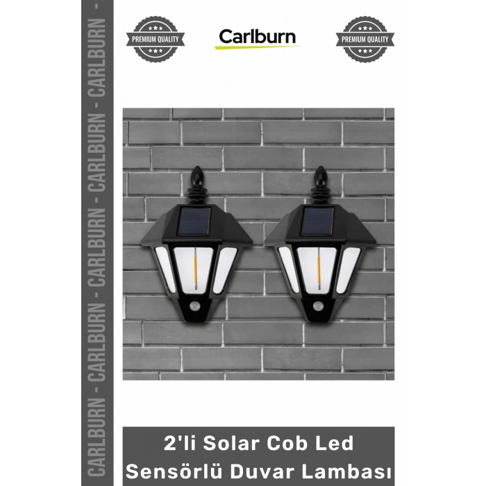Özel Üretim Bahçe Aydınlatma Güneş Enerjili Su Geçirmez 2li Solar Cob Led Sensörlü Duvar Lambası