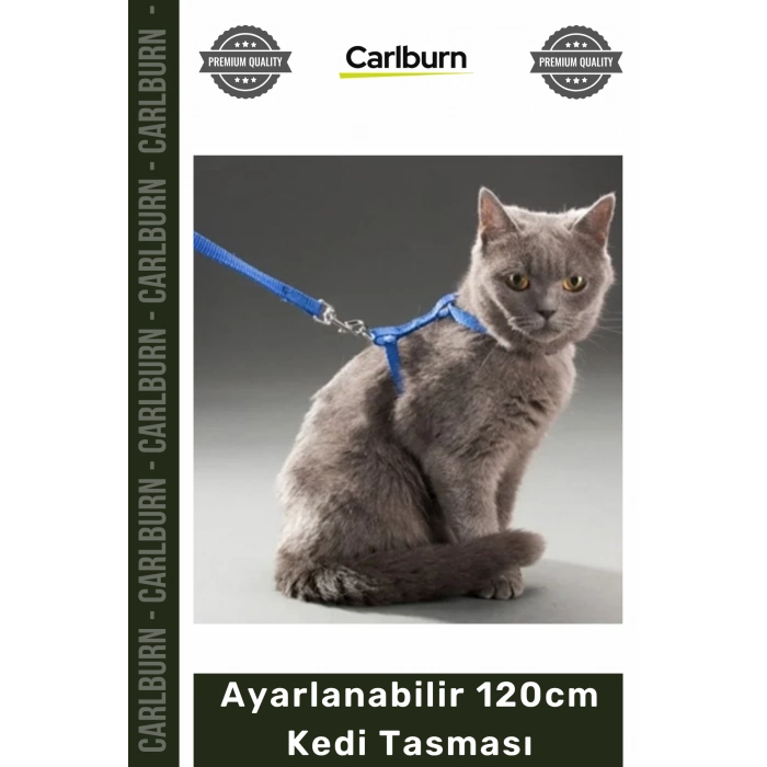 #KediTasması Renkli Lacivert Mavi Kırmızı Siyah Konforlu Dayanıklı Ayarlanabilir 120cm Kedi Tasması