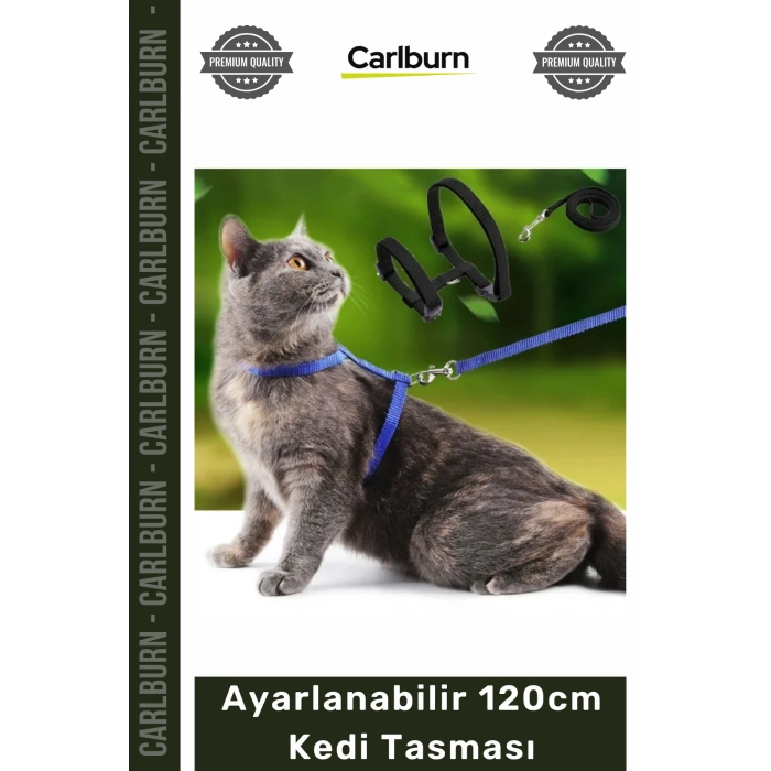 #KediTasması Renkli Lacivert Mavi Kırmızı Siyah Konforlu Dayanıklı Ayarlanabilir 120cm Kedi Tasması