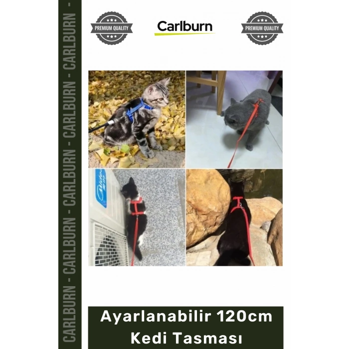 #KediTasması Renkli Lacivert Mavi Kırmızı Siyah Konforlu Dayanıklı Ayarlanabilir 120cm Kedi Tasması