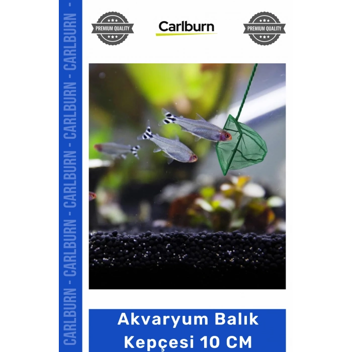 Özel Üretim Kaliteli Dayanıklı İnce Gözenekli Akvaryum Aksesuarları Akvaryum Balık Kepçesi 10 CM