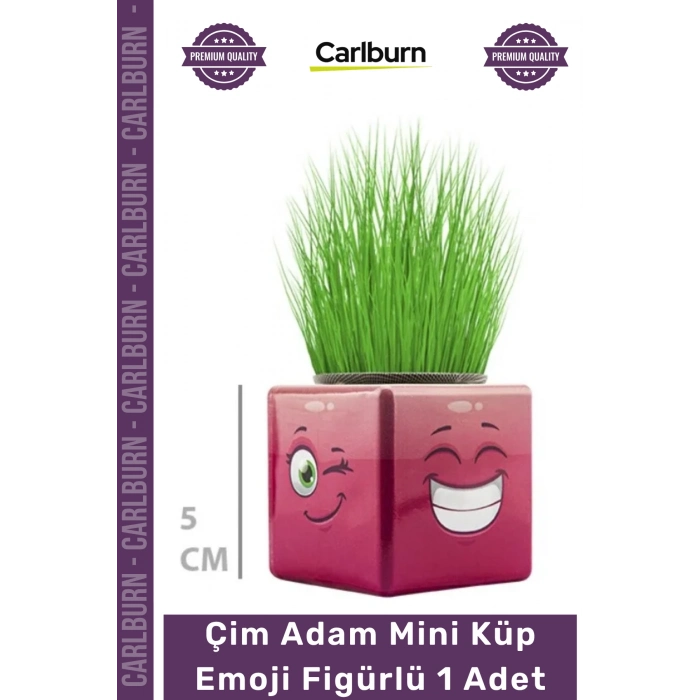 #ÇimAdam Hediyelik Eğitici Doğal Oyuncak Dekoratif Tasarım Çim Adam Mini Küp Emoji Figürlü 1 Adet