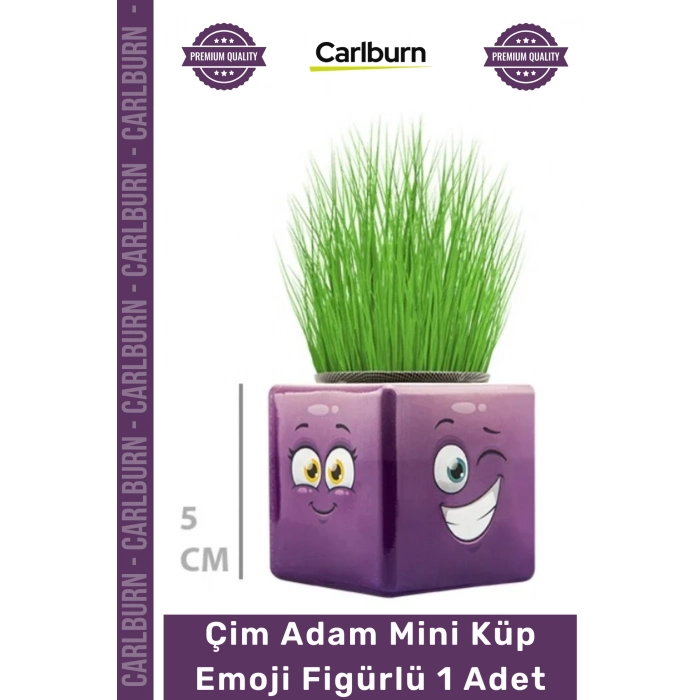 #ÇimAdam Hediyelik Eğitici Doğal Oyuncak Dekoratif Tasarım Çim Adam Mini Küp Emoji Figürlü 1 Adet