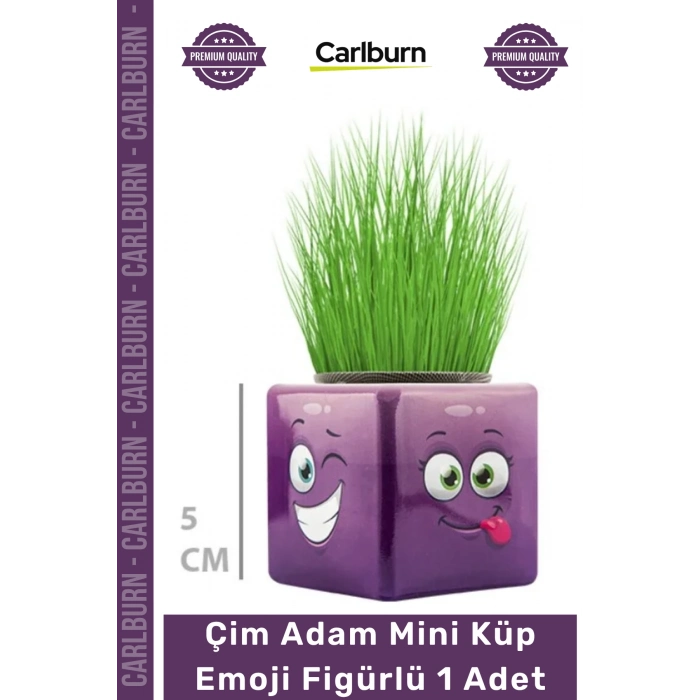 #ÇimAdam Hediyelik Eğitici Doğal Oyuncak Dekoratif Tasarım Çim Adam Mini Küp Emoji Figürlü 1 Adet