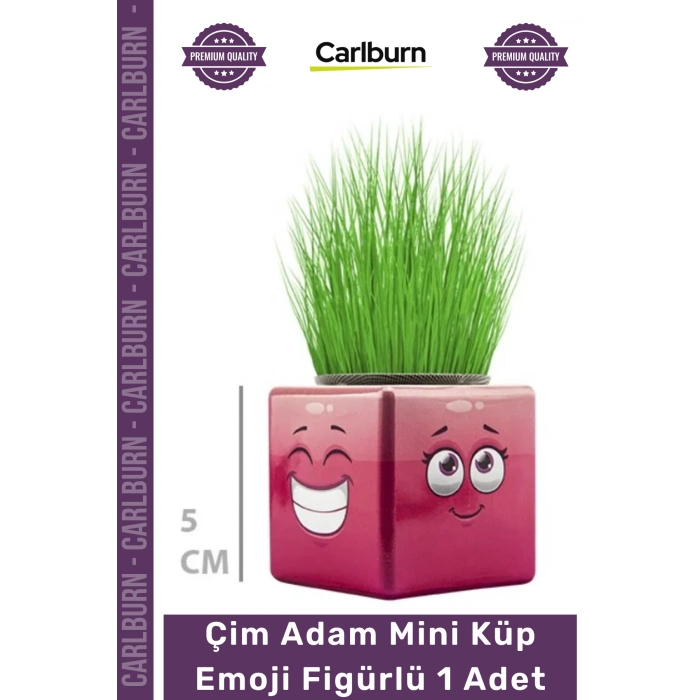 #ÇimAdam Hediyelik Eğitici Doğal Oyuncak Dekoratif Tasarım Çim Adam Mini Küp Emoji Figürlü 1 Adet