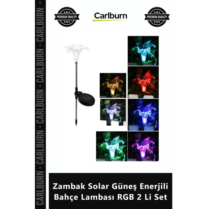 Özel Üretim Dekoratif Dış Mekan Solar Armatür Zambak Solar Güneş Enerjili Bahçe Lambası RGB 2 Li Set