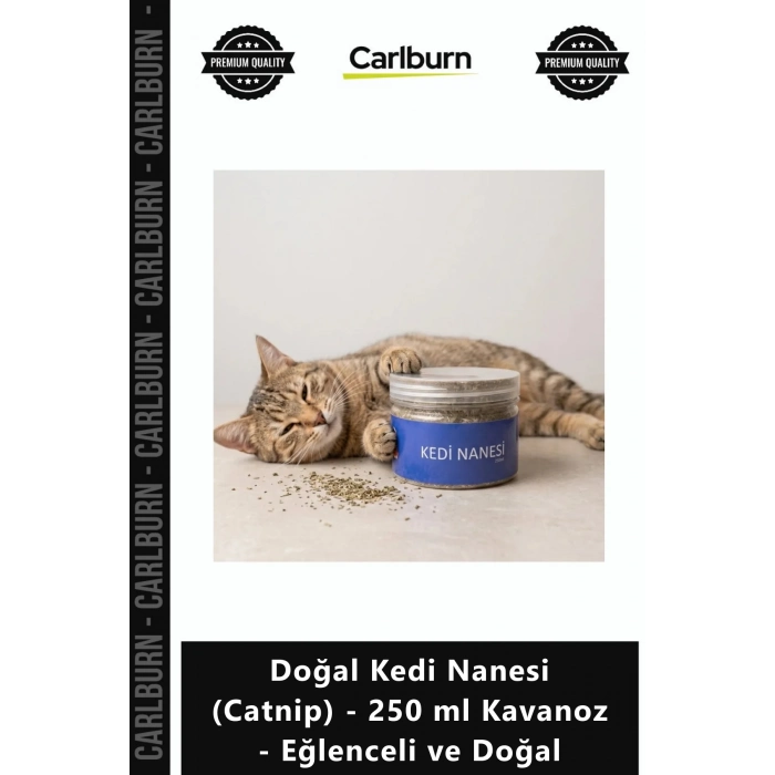Özel Üretim Saf Etkili Rahatlatıcı Doğal Kedi Nanesi Catnip 250 ml Kavanoz Eğlenceli Doğal