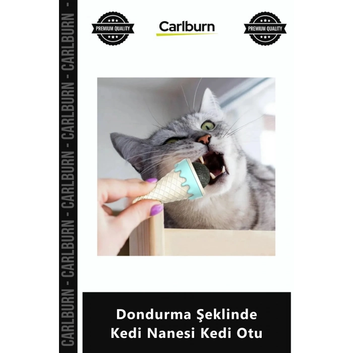 Özel Üretim Duvar Tipi Yapışkanlı Dönebilen Isırma Oyuncağı Dondurma Şeklinde Kedi Nanesi Kedi Otu