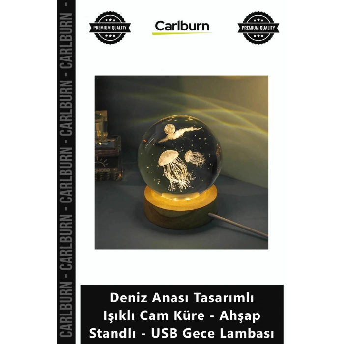 Özel Üretim Modern Hediye Deniz Anası Tasarımlı Işıklı Cam Küre Ahşap Standlı USB Gece Lambası