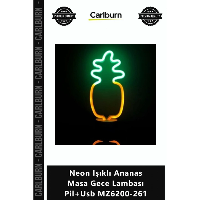 Özel Üretim Dekoratif Modern Şık Aydınlatma Neon Işıklı Ananas Masa Gece Lambası Pil+Usb MZ6200261