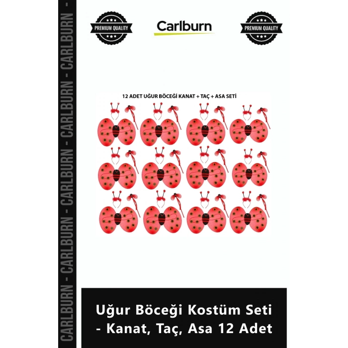 Özel Üretim Parti Eğlence Etkinlik Toptan Çocuk Uğur Böceği Kostüm Seti Kanat Taç Asa 12 Adet