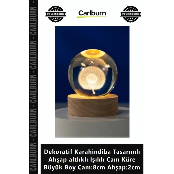 Özel Üretim Dekoratif Karahindiba Tasarımlı Ahşap altlıklı Işıklı Cam Küre Büyük Boy Cam8cm Ahşap2cm