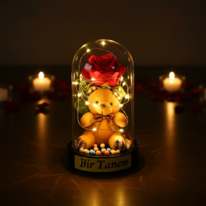 #Fanus Romantik Sevimli Ayıcık Figürü Gün Işığı LED Dekoratif Hediyelik Ayıcıklı Ledli Gül Fanus