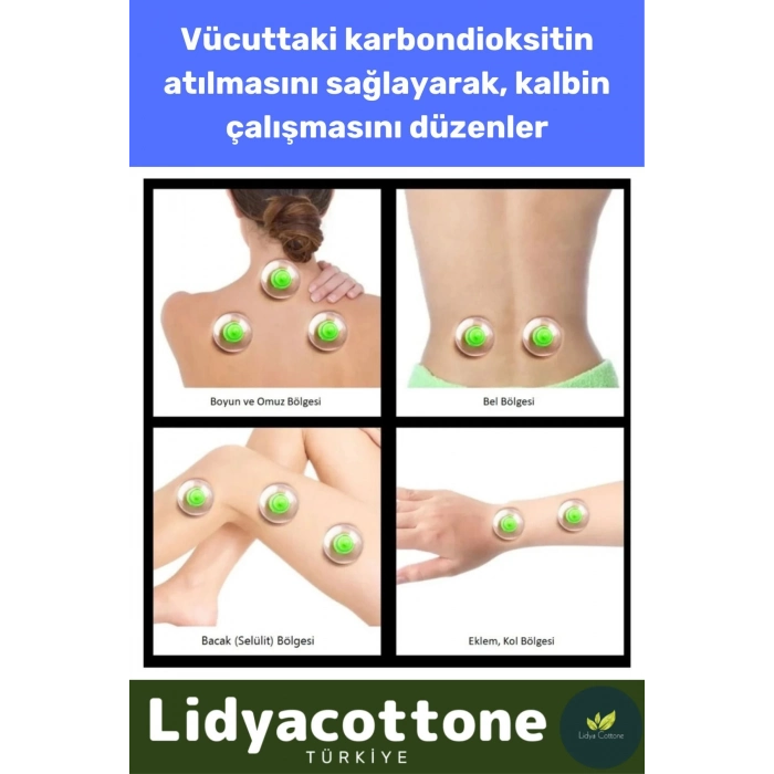 Hacamat Kupası 10 Adet Premium Seri Çatlak Vakumlu 6 Numara