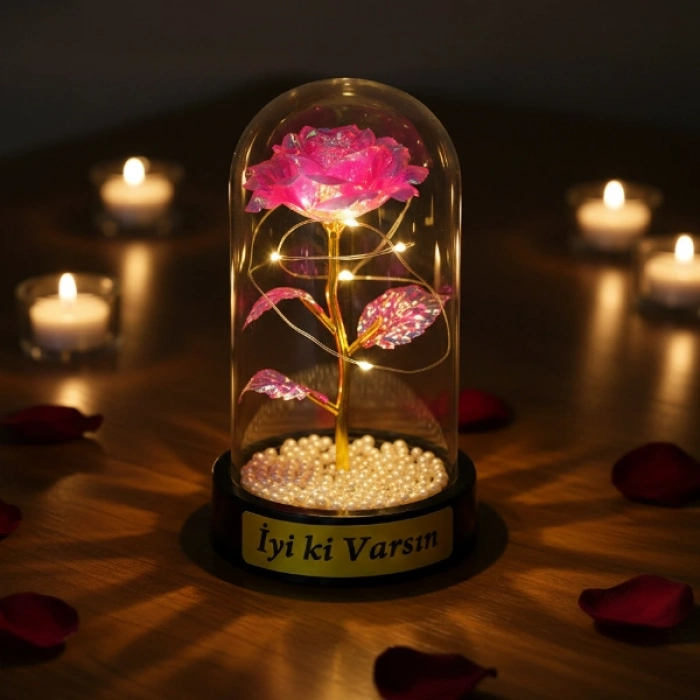 #Fanus İncili Sonsuzluk Dekoratif Romantik Estetik Tasarım Gün Işığı LED Aydınlatmalı Gülü Led Fanus