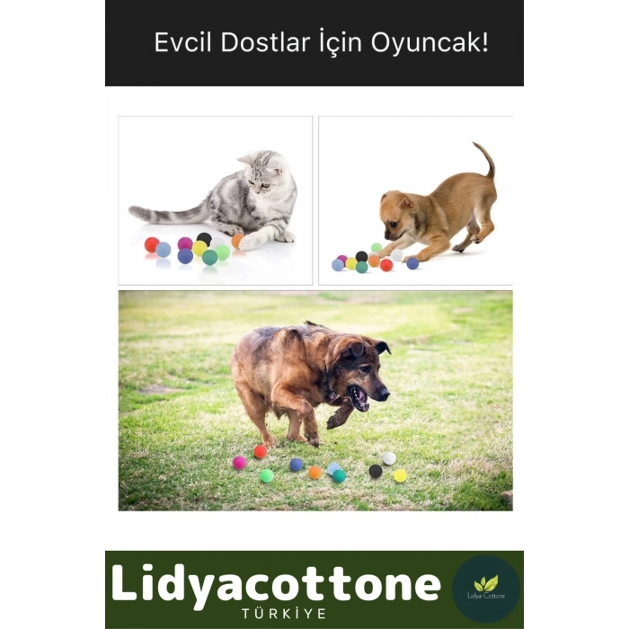 Masa Tenisi Pinpon Topu Çantalı Kaliteli Etkinlik 60 Adet Beyaz Canlı Ping Pong Sekme