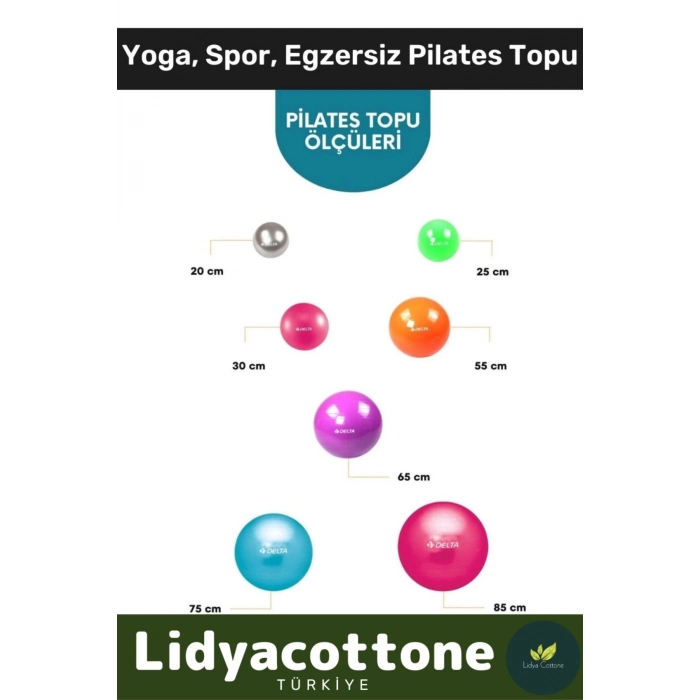 Mini Gymball 20cm Mavi Pilates Denge Egzersiz Topu Profesyonel Seri Şişirme Pompa