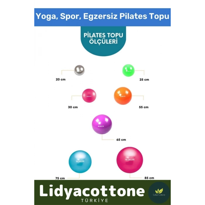 Mini Gymball 20cm Mavi Pilates Denge Egzersiz Topu Profesyonel Seri Şişirme Pompa