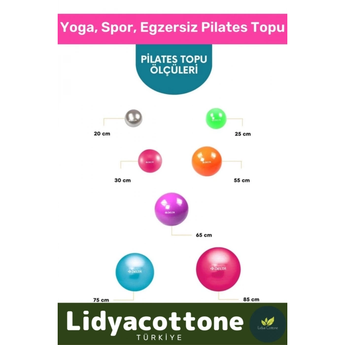 Mini Gymball 20cm Pembe Pilates Topu Denge Egzersiz Şişirme Pompa Hediyeli