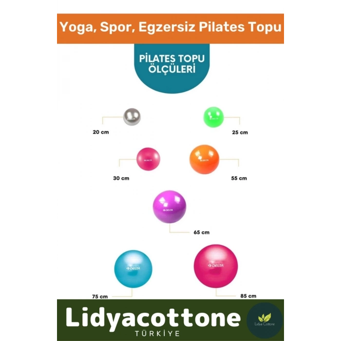 Mini Gymball 20cm Turuncu Pilates Topu Denge Egzersiz Şişirme Pompa Hediyeli