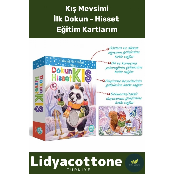 Premium Dikkat Algı Duyusal Görsel Gelişimi Eğlenceli Öğrenme Çocuk Hisset Tanı Kış Eğitim Kartları