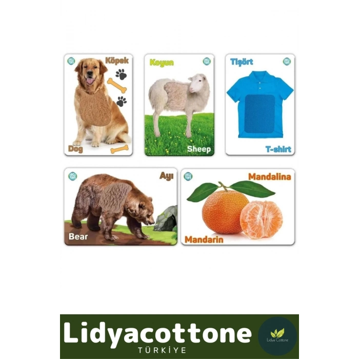 Premium Duyusal Gelişim Görsel Algı Eğlenceli Öğrenme Çocuk Dokun Hisset Tanı Eğitim Kartları